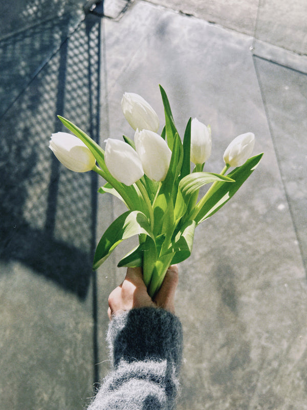 Tulipas blancas