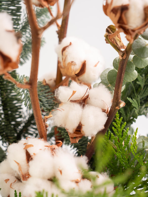 Algodón y eucalipto - Mix invernal