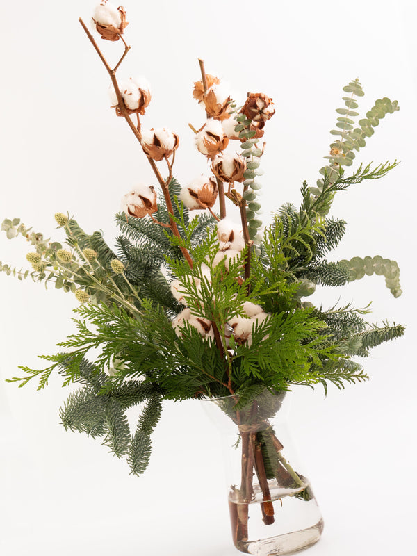 Algodón y eucalipto - Mix invernal