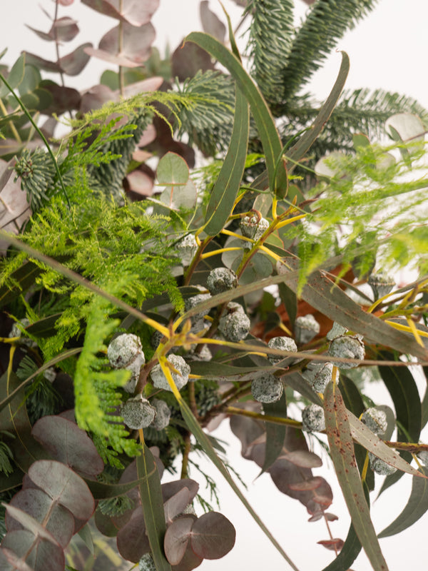 Eucalipto y magnolia - Mix invernal