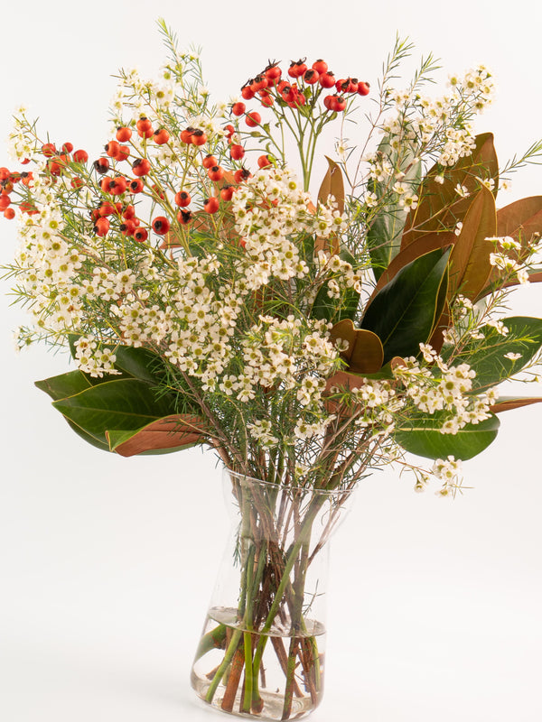 Magnolia, escaramujo y flor de cera - Mix otoñal