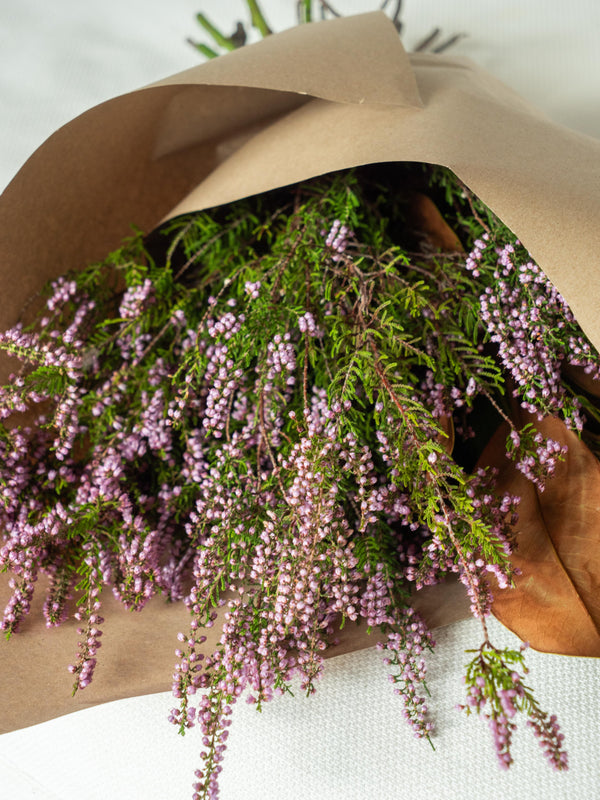 Magnolia y Erica - Mix otoñal