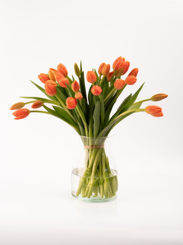 Tulipas naranjas
