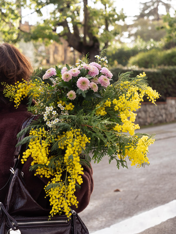Mimosa y crisantemos