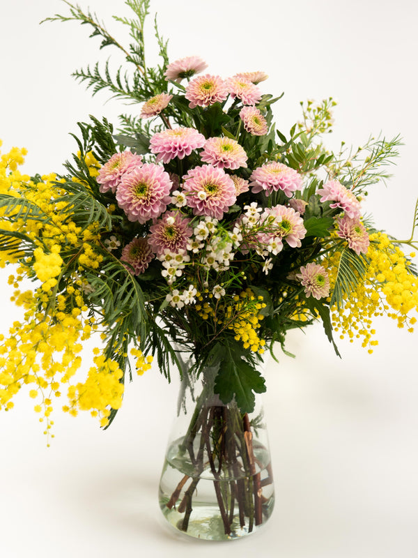 Mimosa y crisantemos