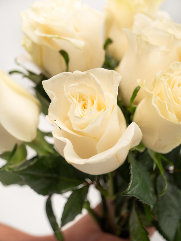 Detalles rosas blancas