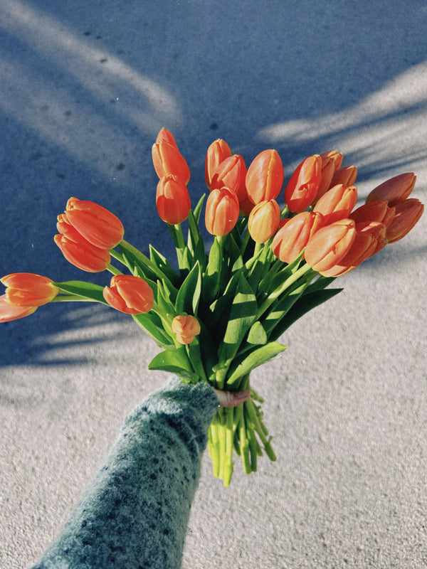 Tulipas naranjas