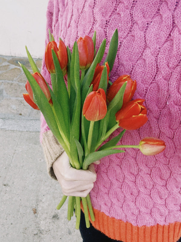 Tulipas rojas