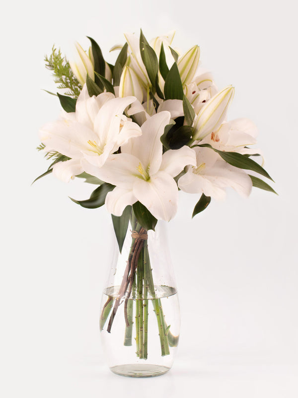 Liliums blancos