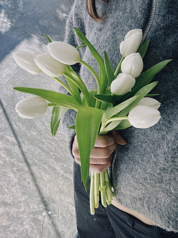 Tulipas blancas