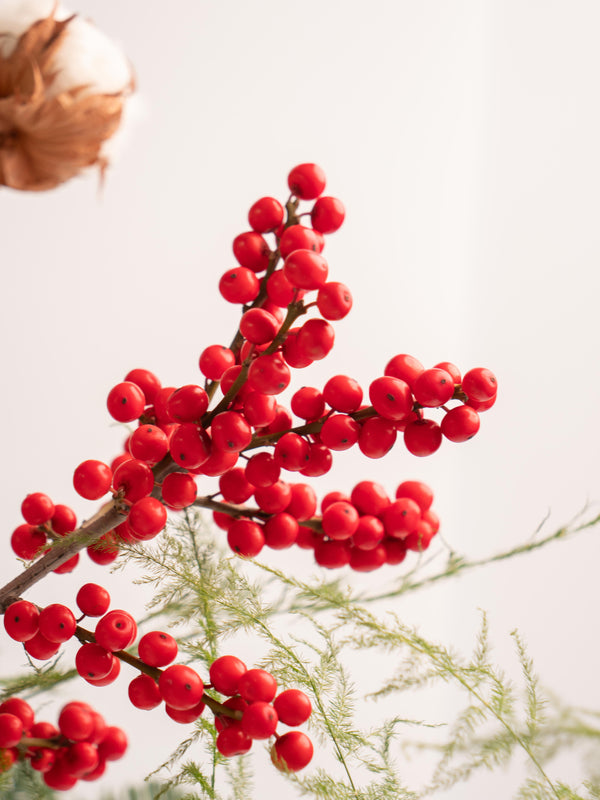 Abeto, ilex y algodón - Mix invernal