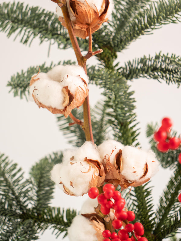 Abeto, ilex y algodón - Mix invernal