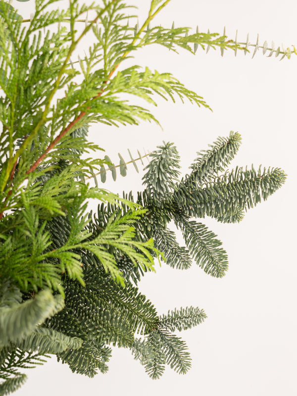 Ilex y abeto - Mix invernal