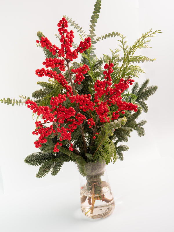 Ilex y abeto - Mix invernal