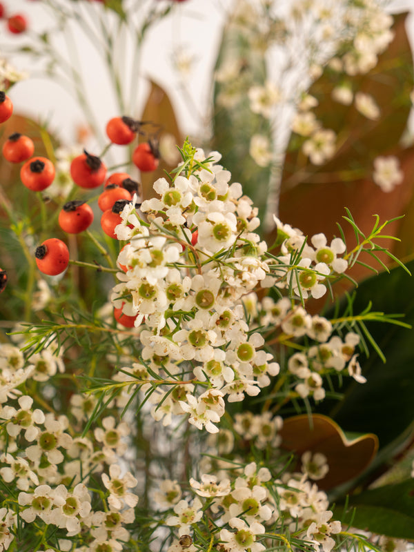 Magnolia, escaramujo y flor de cera - Mix otoñal