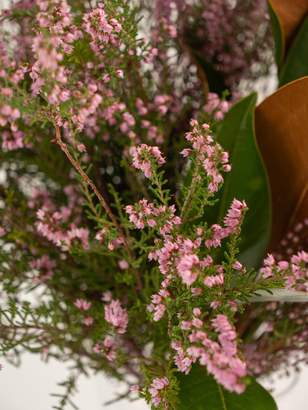 Magnolia y Erica - Mix otoñal