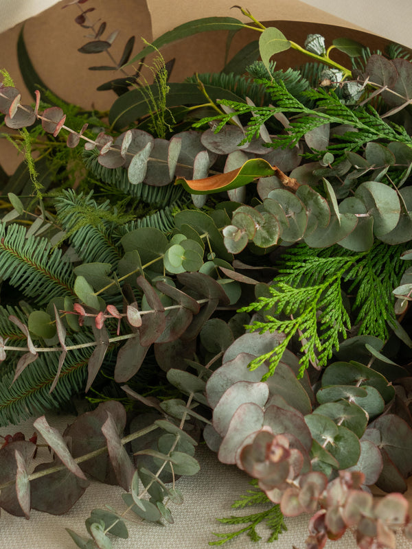 Eucalipto y magnolia - Mix invernal