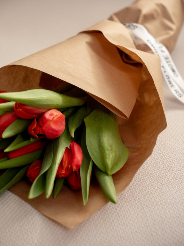 Tulipas rojas
