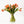 Tulipas naranjas