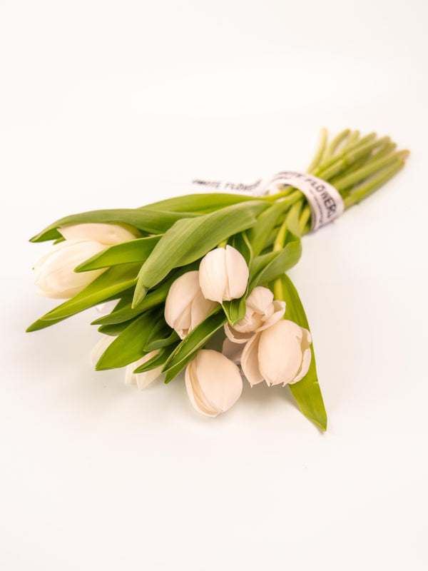Tulipas blancas