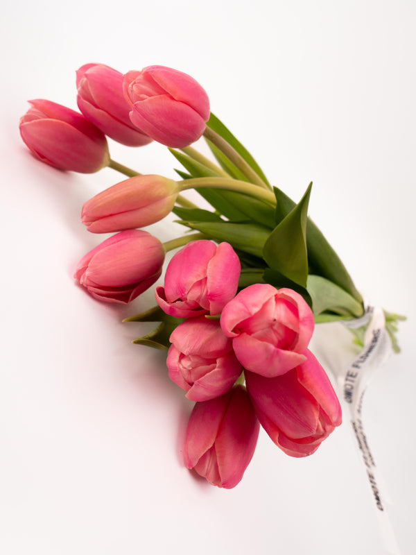 Tulipas rosas