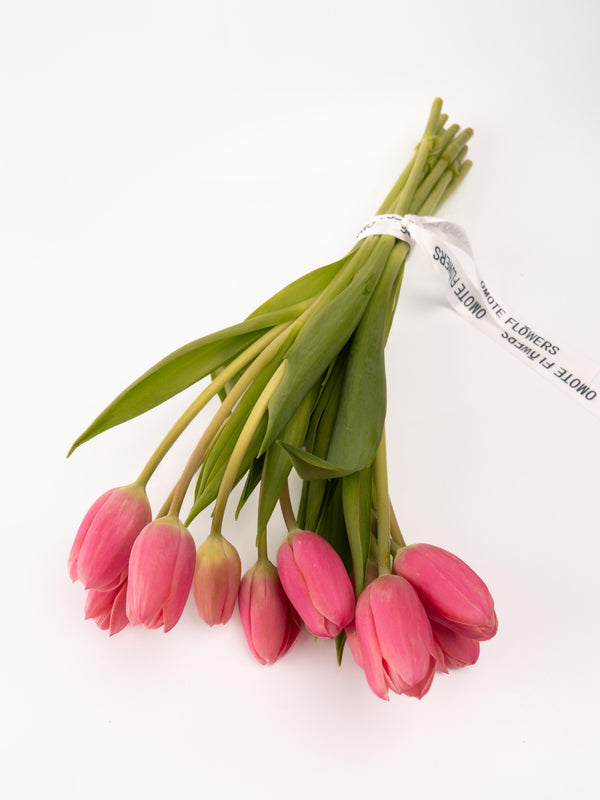 Tulipas rosas