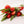 Tulipas rojas