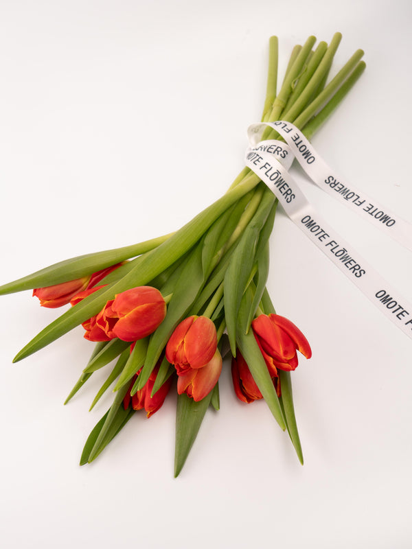 Tulipas rojas