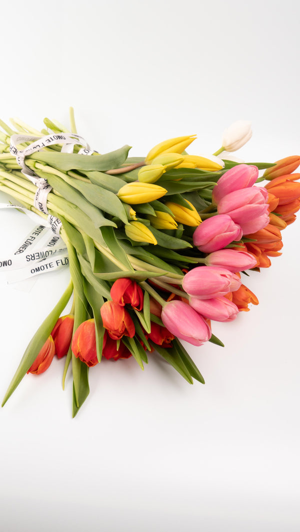 Tulipas rojas