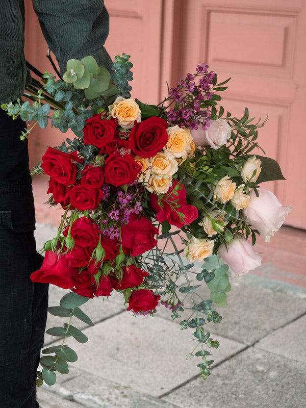 Camins