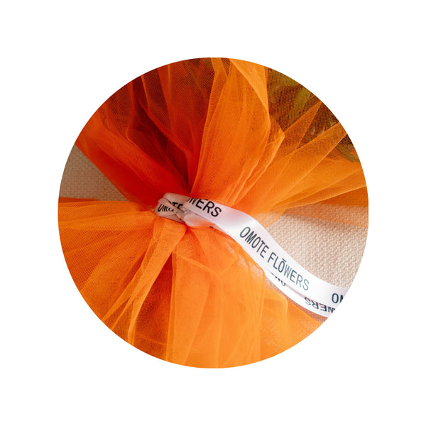 Envoltorio especial - calabaza