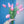 Tulipas rosas