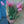 Tulipas rosas