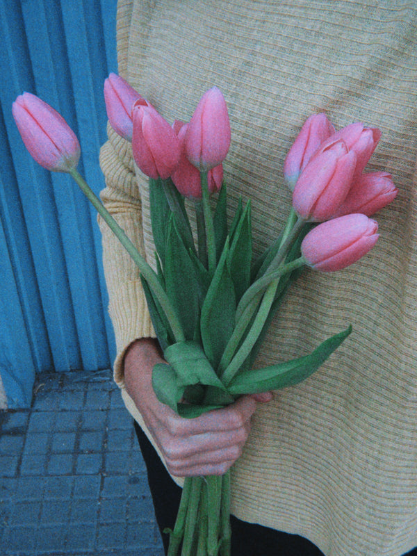 Tulipas rosas