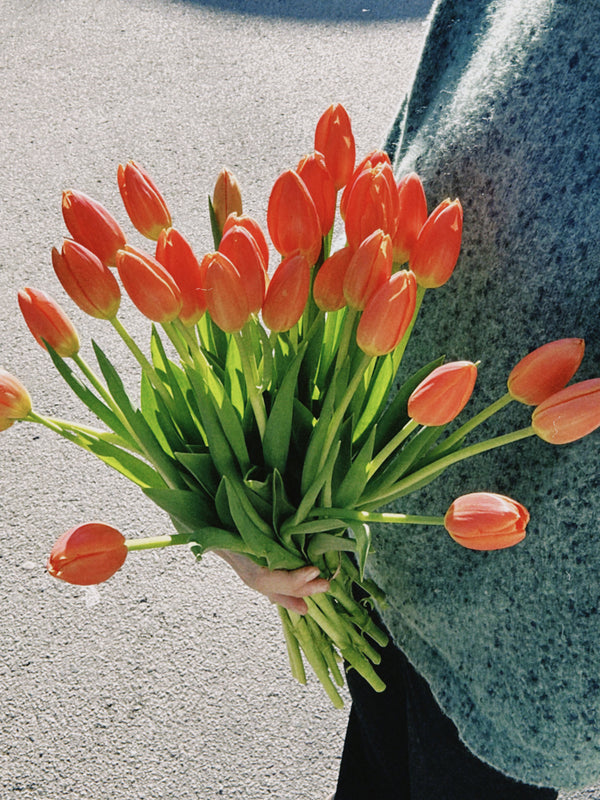 Tulipas naranjas
