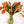 Tulipas naranjas