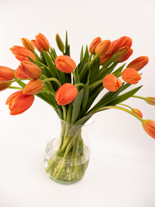 Tulipas naranjas