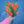 Tulipas rojas