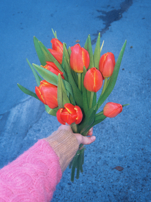 Tulipas rojas